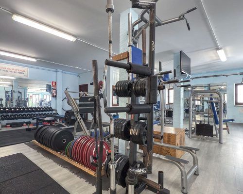 gimnasio2 (1)
